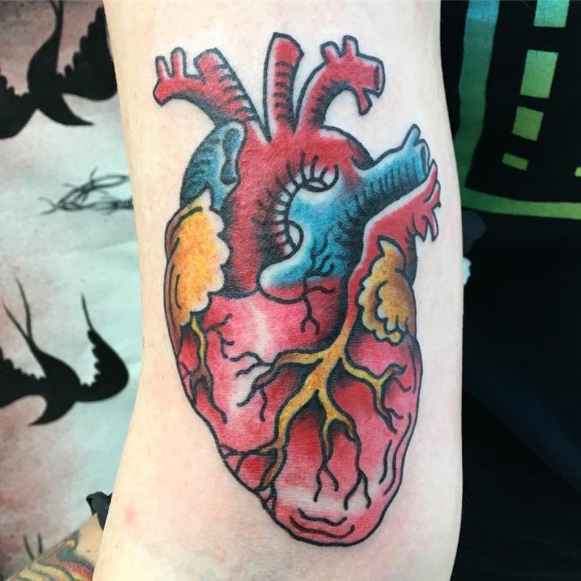 Anatomical Heart Tattoo (11)