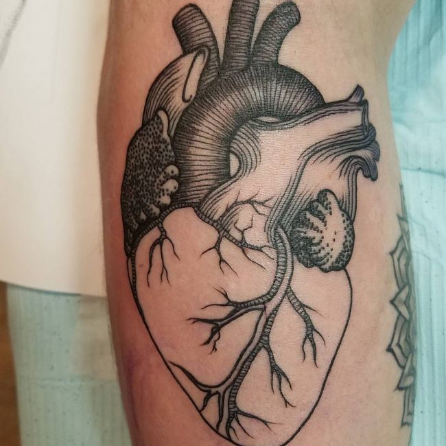 Anatomical Heart Tattoo (23)