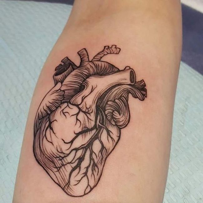 Anatomical Heart Tattoo (32)