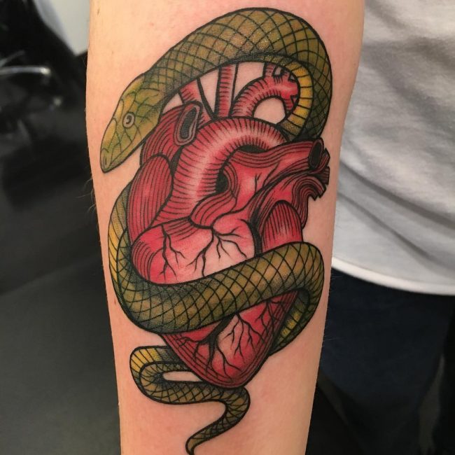 Anatomical Heart Tattoo (50)