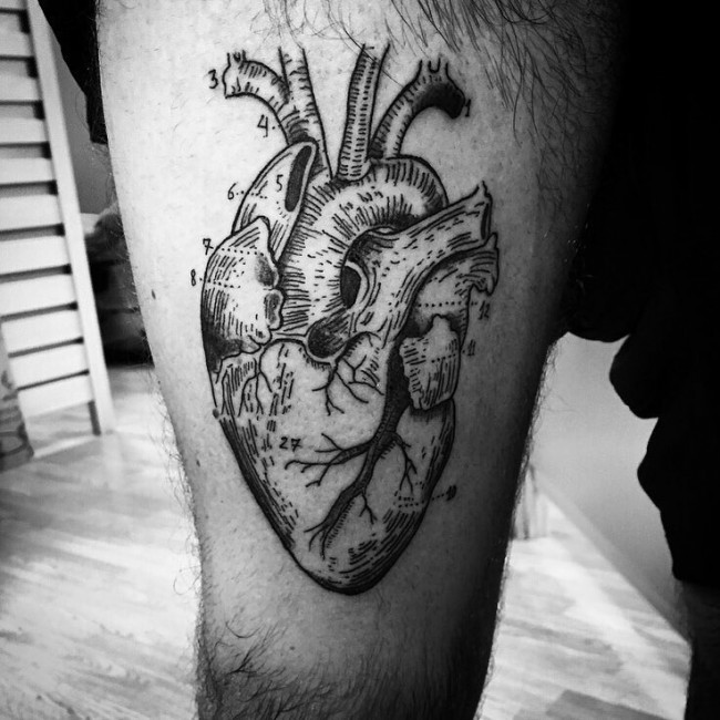 Anatomical Heart Tattoos (9)